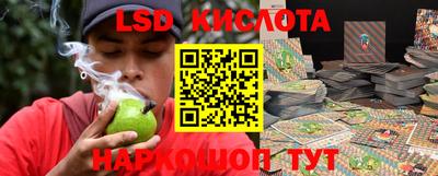 индика Прокопьевск