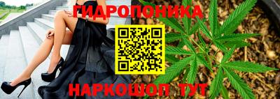 бошки Протвино