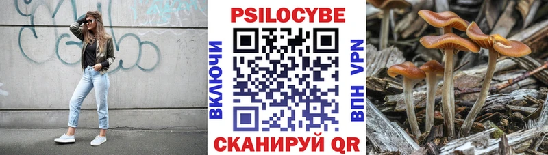 Псилоцибиновые грибы Psilocybine cubensis  Бахчисарай 