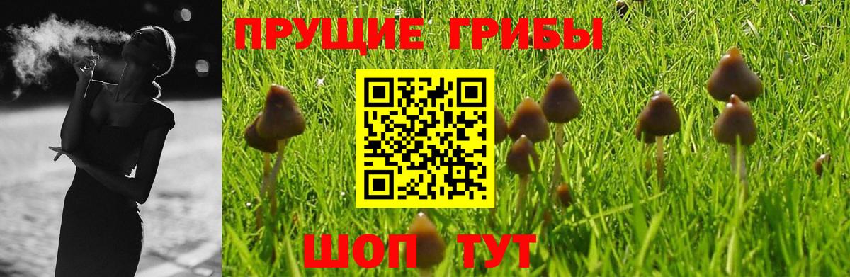 Псилоцибиновые грибы Magic Shrooms Бахчисарай