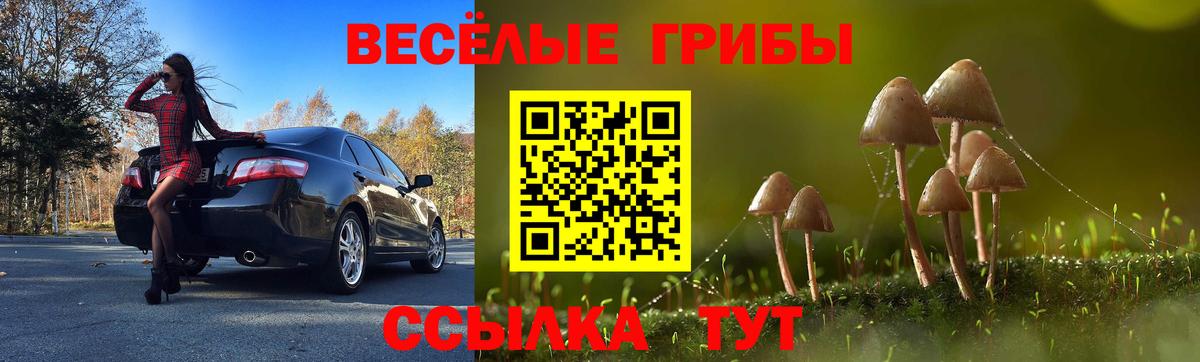 наркота  Вход с VPN  Бахчисарай  Галлюциногенные грибы Magic Shrooms  Псилоцибиновые грибы Magic Shrooms 